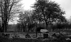 Cmentarz wojenny "Marynin"