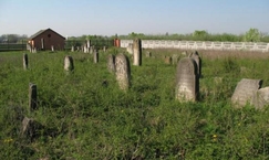 Cmentarz Żydowski w Mszczonowie